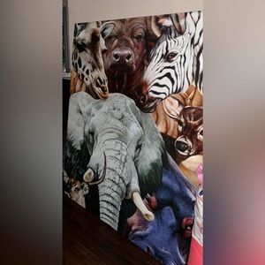 Zoo Canvas
